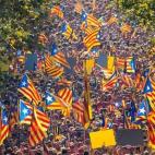 5c8a8b42360000a61b6b9a75