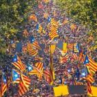 5c8a8b43360000ba1a6b9a79