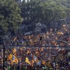 5c8a8b43230000dd04233b0b