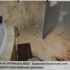 5c8addf62000009d036fe31e