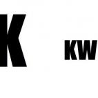 5c8a9dda24000093024c174c