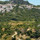 Gauc&iacute;n (M&aacute;laga)
