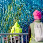 5dbff460210000d34fad4bc2