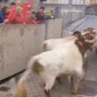 5c8b43f12400006d054d33ef