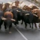 5c8b43f223000004012475b2