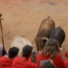 5c8b43f522000030001aa1f2