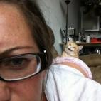 5c8b31013b000070066d312b