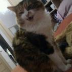 5c8b3102230000d5042455bb