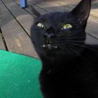 5c8b310322000051001a8232