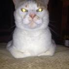 5c8b31032300002f00e7cc85