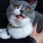 5c8b31042000004504705d6d