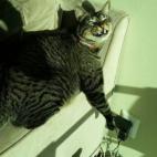 5c8b310424000093024d1440