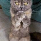 5c8b310424000093024d1444