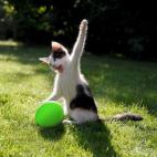 "Hay que ir practicando hasta la perfección... ¡Muajajajajajaja!"