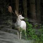 (c) Georg May, Alemania Categoría abierta del Concurso Mundial de Fotografía de Sony 2015 (2015 Sony World Photography Awards)