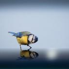 (c) Georg May, Alemania Categoría abierta del Concurso Mundial de Fotografía de Sony 2015 (2015 Sony World Photography Awards)