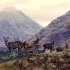 (c) Leo Bakx, Países Bajos Categoría abierta del Concurso Mundial de Fotografía de Sony 2015 (2015 Sony World Photography Awards)