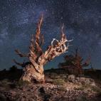 (c) Sashikanth Chintla, India Categoría abierta del Concurso Mundial de Fotografía de Sony 2015 (2015 Sony World Photography Awards)