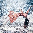 (c) Ahmad Zikri Mohamad Zuki, Malasia Categoría abierta del Concurso Mundial de Fotografía de Sony 2015 (2015 Sony World Photography Awards)