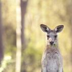 (c) Josie Eldred, Australia Categoría abierta del Concurso Mundial de Fotografía de Sony 2015 (2015 Sony World Photography Awards)