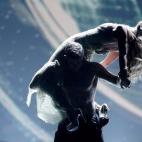 5c8aa0e52500005206816a89