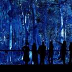 5c8b217c3b000002076d0c58