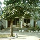 5c8b38292400006c05a46075