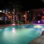 5c8b3831360000a61b6cbf99