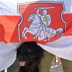 5f3a23532300000105522513