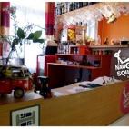 5c8b3839230000dd042465dd