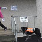 5c8b3aaa240000f7054d28c9