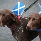 5c8b3aad2500001304ca598e