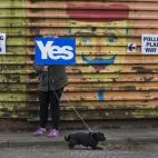 5c8b3ab1360000c81a6cc411