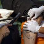 5c8adae32000009e046fdeaf