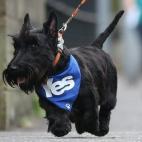 5c8b3b952500001304ca5b2c