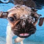 5c8b387c2400006d054d2488