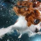 5c8b387d360000ba1a6cbff7