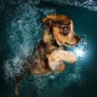 5c8b387d2300005400e7dc27