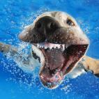 5c8b387d22000033001a92a1