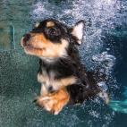 5c8b387e22000051001a92a9