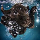 5c8b387f22000033001a92ab