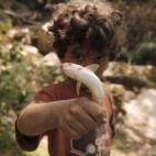 5c8b7efd3b000002076dbad8