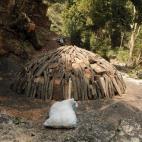 5c8b7efe3b000054066dbadf