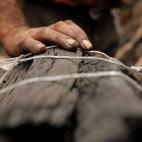 5c8b7efe2300007f0124e1f9