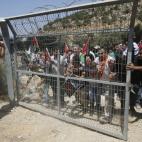 5c8b3acd250000e203ca59c8