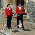 Los corgis de la reina, Muick y Sandy, tambi&eacute;n han salido a despedir de Isabel II.