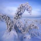 A temperaturas de -50ºC resulta muy complicado moverse, tanto por el hielo como por el frío.