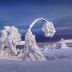 Las formas evocan esculturas de algún lugar imaginario.