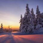 Las extrañas formas parecen evocar algún tipo de presencia.