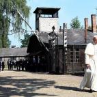 5c8b17a822000051001a40d1